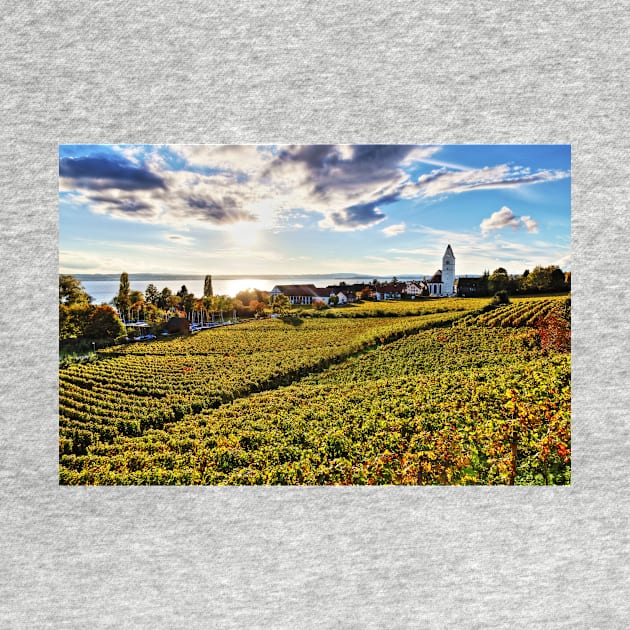 Sunset over Grape Orchards near Hagnau - Lake Constance by holgermader